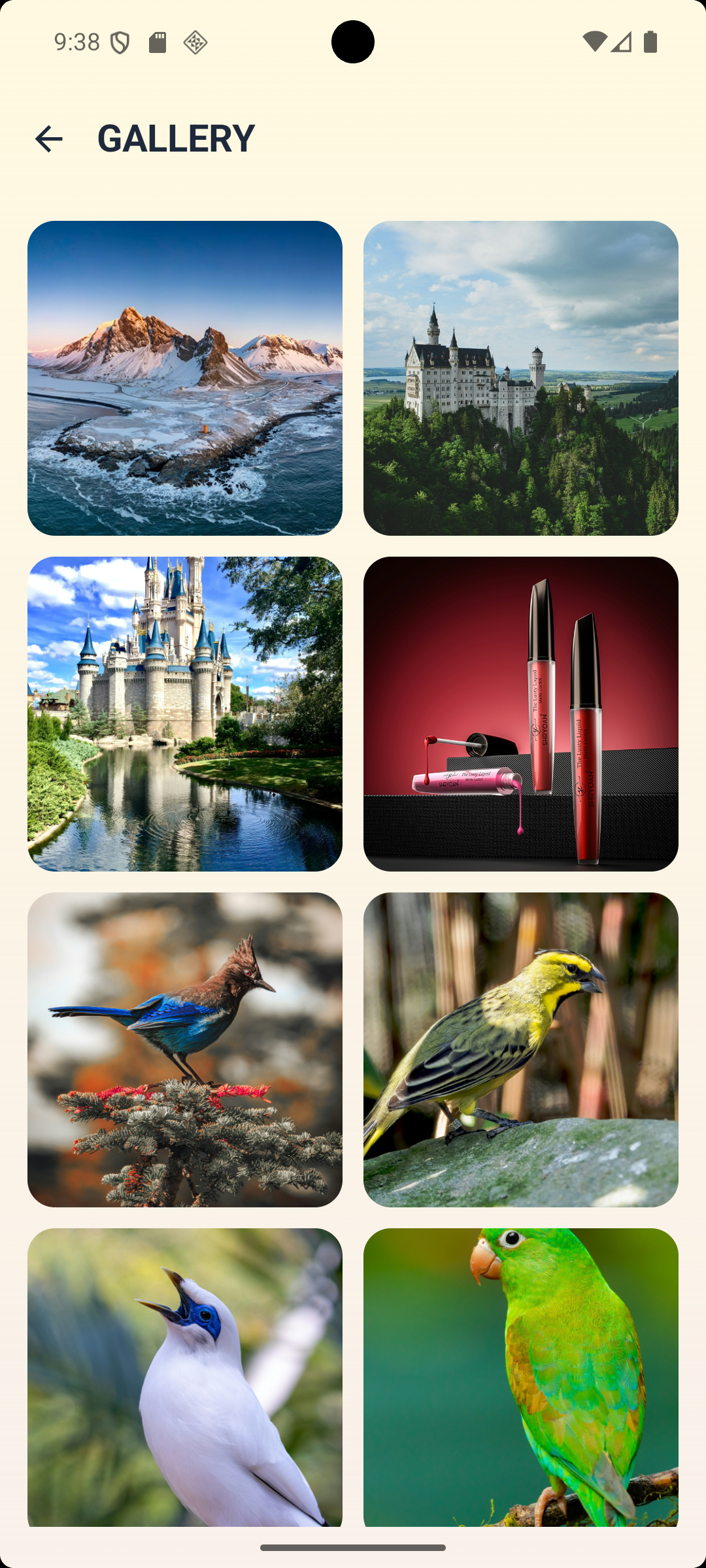Theme Gallery