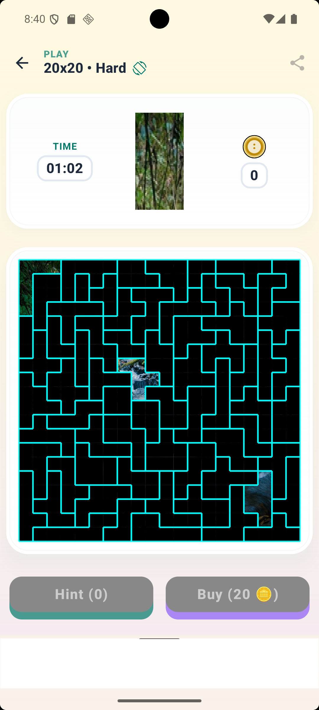 Puzzle View